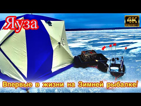 Видео: Первая в жизни зимняя рыбалка. Полный фарш! Яузское водохранилище