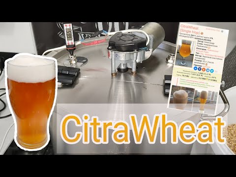 Видео: Пшеничное пиво с хмелем Citra - "CitraWheat". Самое вкусное домашнее пшеничное ПИВО! Рецепт пива.