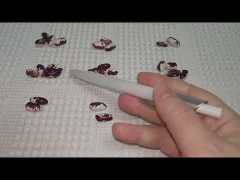 Видео: Гадание на бобах.Ты на правильном пути! Кумалак говорит: не останавливайся!" 🚀