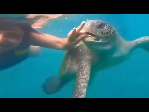 Видео: Это было снято на камеру: Уникальные моменты, которые случаются раз в жизни!