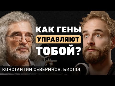 Видео: Могут ли гены предсказать судьбу? Ученый про наследственность, сохранение молодости и ошибки в ДНК