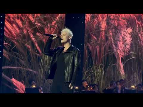 Видео: SHAMAN - ОЙ, ТО НЕ ВЕЧЕР на гала-концерте памяти Людмилы Зыкиной | 03.11.2024