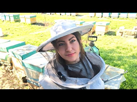 Видео: Розширення, як це робимо ми. Чудо розчин для профілактики від хвороб. Лайк бі