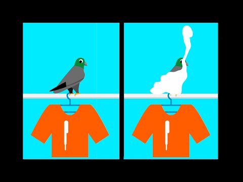 Видео: ТАКОГО ГОЛУБЬ НЕ ОЖИДАЛ! ► Brain Wash #5 Прохождение