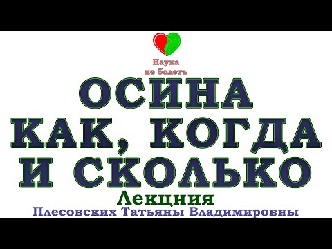 Видео: ОСИНА КОРА  -||-  ЭФФЕКТИВНЫЙ ПРИЁМ ОСИНЫ