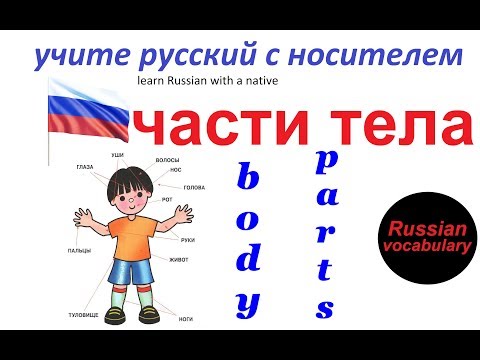 Видео: № 9  Русский с нуля : ЧАСТИ ТЕЛА : голова, нога, рука / русский для начинающих