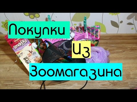 Видео: ПОКУПКИ ИЗ ЗООМАГАЗИНА//ЗООПОКУПКИ 2020//ПОКУПКИ ДЛЯ ПИТОМЦЕВ//НОВЫЙ ПИТОМЕЦ!?!?