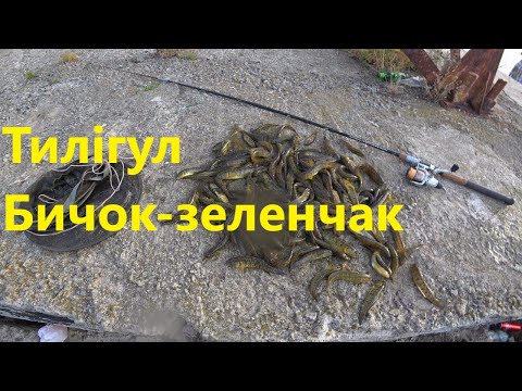 Видео: Тилігульський лиман с.Калинівка, гарна рибалка на бичка