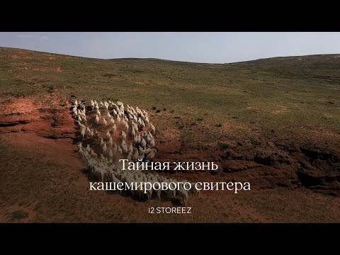 Видео: Тайная жизнь кашемирового свитера | 12 STOREEZ