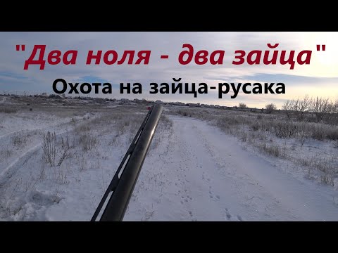 Видео: Охота на зайцев "Два ноля - два зайца"