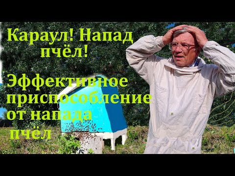 Видео: Пчелиный напад на пасеке.  Что делать.  Эффективное приспособление от напада