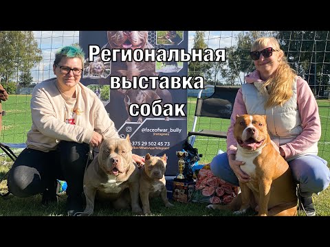 Видео: Региональная выставка собак всех пород 17.09.22 клуб «Хобби»