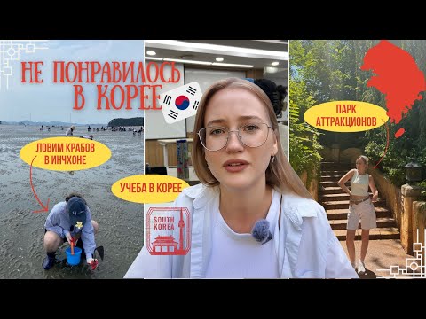Видео: почему мне НЕ ПОНРАВИЛОСЬ в Корее || сложная учеба, парк аттракционов Everland и крабы в Инчхоне