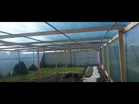 Видео: делаем рассадник для клубники из дерева #клубника#виноград#рассада