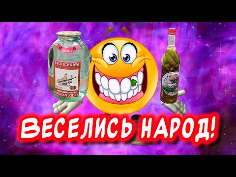 Видео: А ты гуляй душа👍Весёлая открытка для отличного настроения🤣 #юмор #музыкальнаяоткрытка