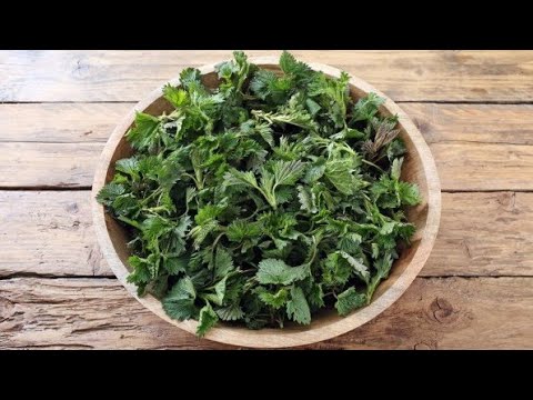 Видео: Вы будите в шоке 😲такого вы ещё не пробовали, чебуреки с  крапивы(кетэ) 👍👍👍💖