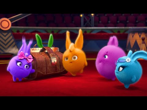 Видео: Солнечные зайчики - Тайна Чемодан | Мультфильмы для детей | WildBrain