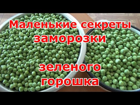 Видео: Заморозка зеленого горошка. Как правильно заморозить зеленый горошек на зиму.