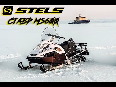 Видео: Yamaha-заменитель - STELS СТАВР MS600