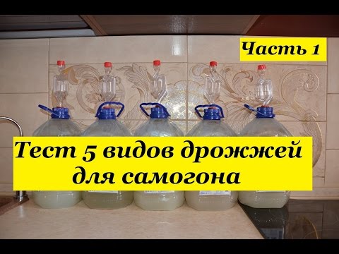 Видео: Тест дрожжей для самогона. 5 видов. Часть 1