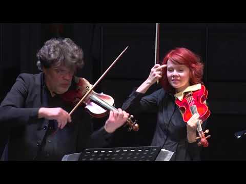 Видео: Георг Филипп Телеман Дуэт для двух скрипок «Путешествие Гулливера»