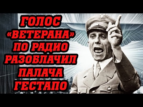Видео: Он узнал голос палача в эфире: обычный инженер узнал голос карателя! Как разоблачили самозванца!
