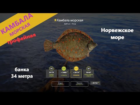 Видео: Русская рыбалка 4 - Норвежское море - Камбала морская: закрыл трофа