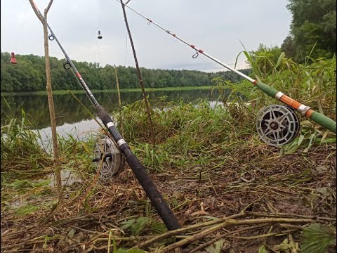 Видео: Река Западная Двина (Daugava)! Сом на донную снасть.