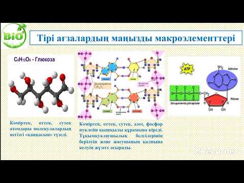 Видео: 7 сынып МИКРОЭЛЕМЕНТТІҢ ЖӘНЕ МАКРОЭЛЕМЕНТТІҢ ОРГАНИЗМДЕР ТІРШІЛІГІНДЕ МАҢЫЗЫ