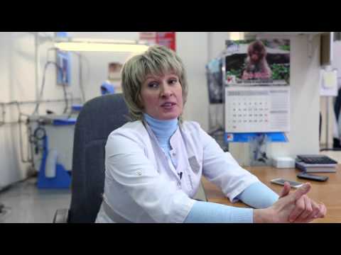 Видео: Хозяйка химчистки