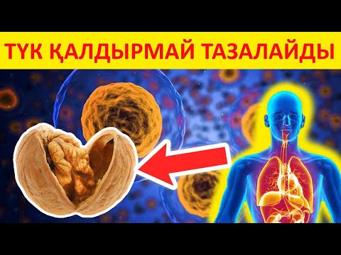 Видео: 2 жаңғақпен ағзаңызды 1 айда тазартыңыз.Қалай жеу керек?Пайдасы қандай?