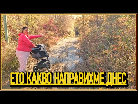 Видео: Не случихме на майстор, но случихме на приятели-живот на село с @didoikali