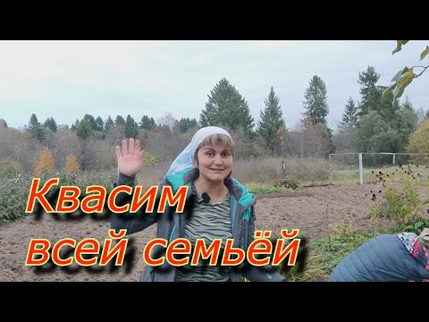 Видео: Квасим всей семьей