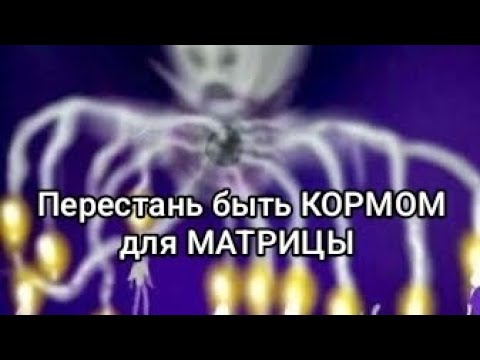 Видео: Как твои негативные эмоции питают эгрегоры и сущности 
