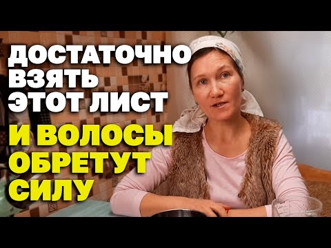 Видео: ЦЕЛЕБНЫЙ ОТВАР ДЛЯ ЗДОРОВЬЯ ВОЛОС ИЗБАВИТ ОТ ВЫПАДЕНИЯ УЛУЧШИТ РОСТ @natureMarusya