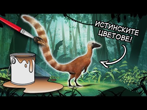 Видео: ПРАИСТОРИЯТА: ВЕЧЕ И В ЦВЯТ! (с участието на Гилру)