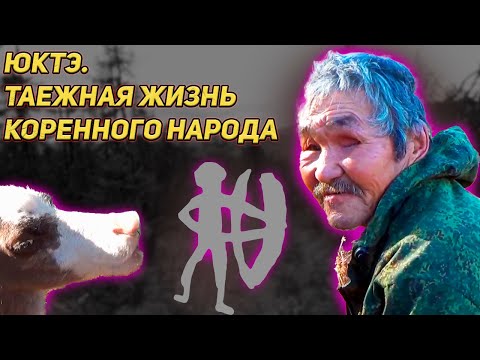 Видео: ЮКТЭ Таежная жизнь коренного народа Отдых в таежной избе, готовим ужин, уходим в стойбище а там....