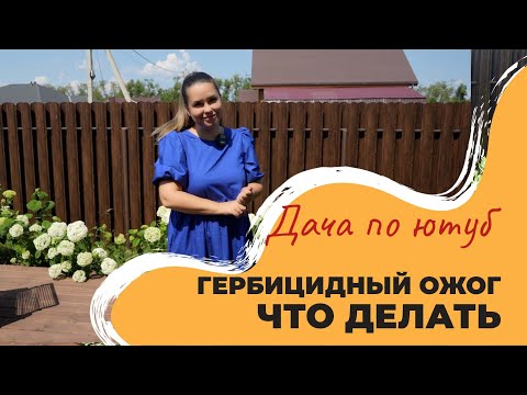 Видео: ГЕРБИЦИДНЫЙ ОЖОГ | Что делать | Как спасти растения после гербицида