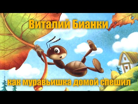 Видео: В.Бианки "Как муравьишка домой спешил"