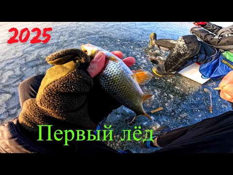 Видео: Первый лёд 2025!  Решил поснимать рыбалку на льду.