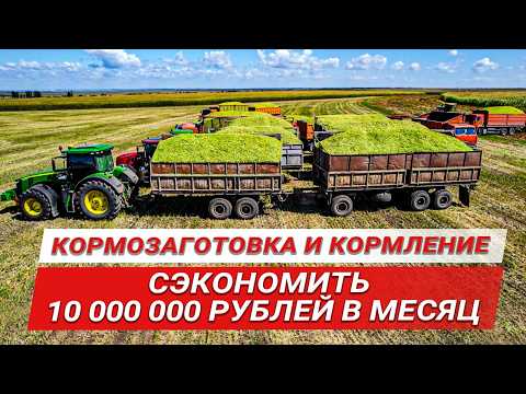 Видео: Сэкономить 10 миллионов в месяц | Krone Big X на уборке кормов | Сенаж тритикале | Кукурузный силос