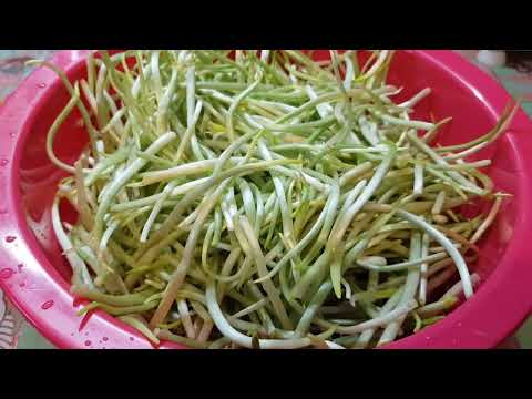 Видео: Наш СУПЕР РЕЦЕПТ из ЧЕРЕМШИ! Делаем каждый ГОД!