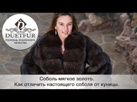 Видео: КАК ОТЛИЧИТЬ МЕХ СОБОЛЯ ОТ КУНИЦЫ.