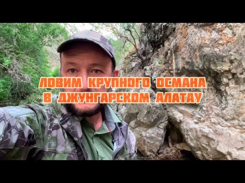 Видео: Ловим крупного османа