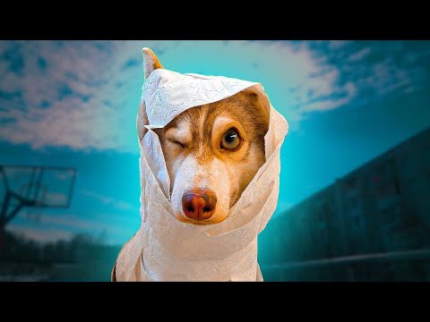 Видео: Лучшие ролики из моего детства! Хаски Бублик Говорящая собака