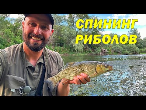 Видео: За ПРЪВ ПЪТ ХВАЩАМ този ХИЩНИК на СПИНИНГ от река ЯНТРА