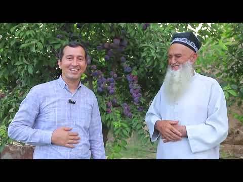 Видео: Хоҷагии ниҳолпарварии "Пайванд" дар шаҳри Левакант телефон барои тамос +992 90 400 4204