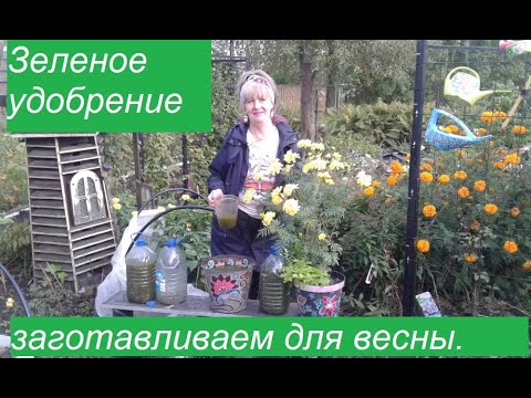 Видео: Зеленое удобрение  заготавливаем на следующий сезон .Ирисы  посадка.