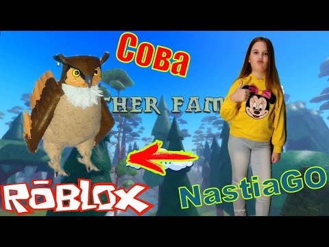 Видео: Cемья птиц роблокс сова симулятор птицы обзор птички feather family roblox owl simulator bird