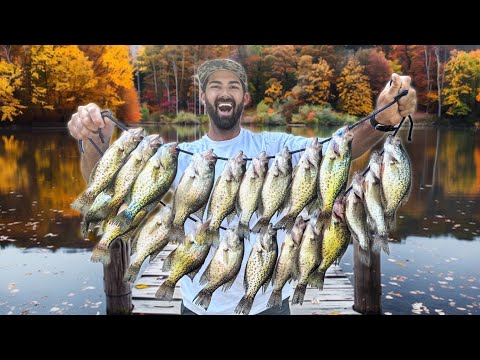 Видео: Осенний клёв на краппи просто огонь! Соло-лимит с новой НЕОТРАЗИМОЙ джиг-приманкой!!!! (Заряжено)